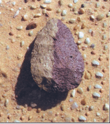 Brusa_Zappellini_1