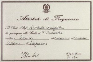 Dott. Quirino Zangrilli