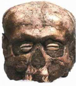cranio netufiano