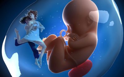 Alcuni effetti dei vissuti del feto sulla vita adulta – terza parte