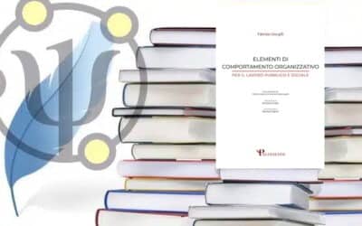 Elementi di Comportamento Organizzativo per il Lavoro Pubblico e Sociale – Fabrizio Giorgilli – 2025 –  Palinsesto Editore